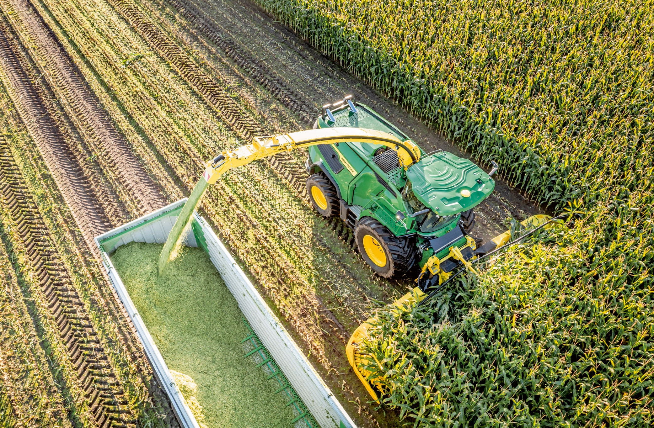 Pogled na zeleni silažni kombajn John Deere iz zraka, ki na velikem koruznem polju žanje koruzo in premešča požeto silažo na prikolico.